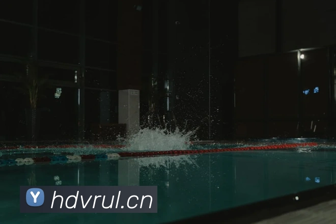 安博站官网登录入口发展历程